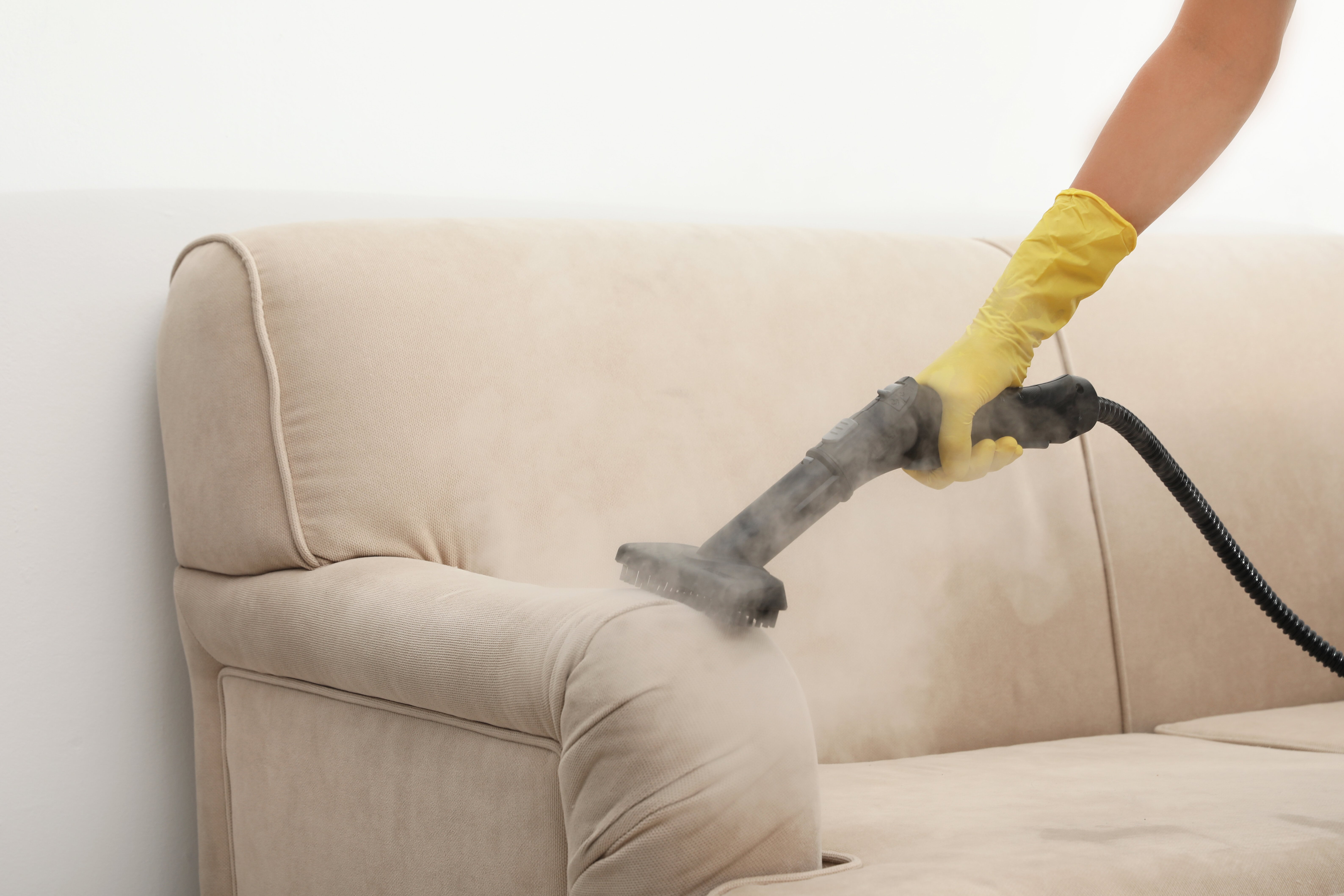 sofa cleaning